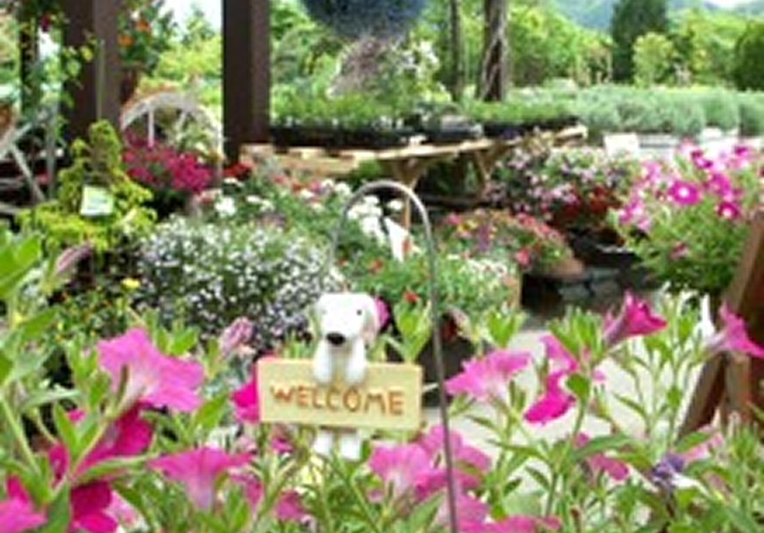 蒜山ハーブガーデン　ハービル